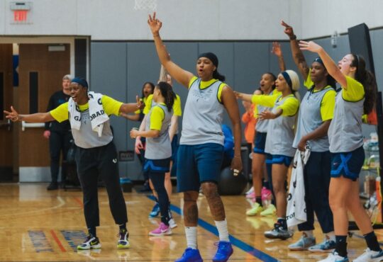 Dallas Wings, WNBA