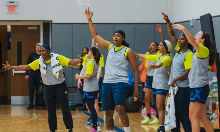 Dallas Wings, WNBA
