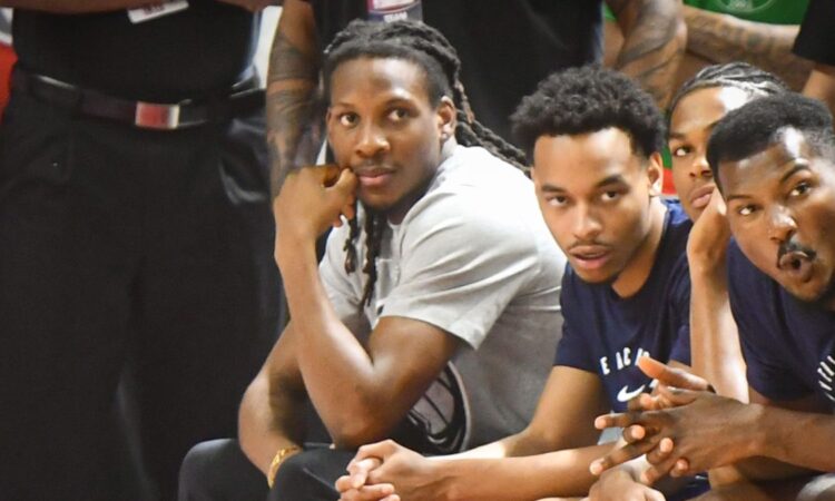 Melvin Ajinca, Dallas Mavericks, NBA