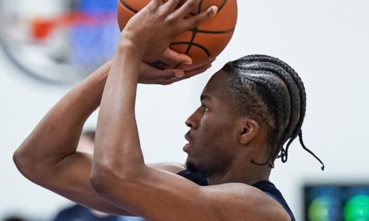Miles Kelly, Dallas Mavericks, NBA