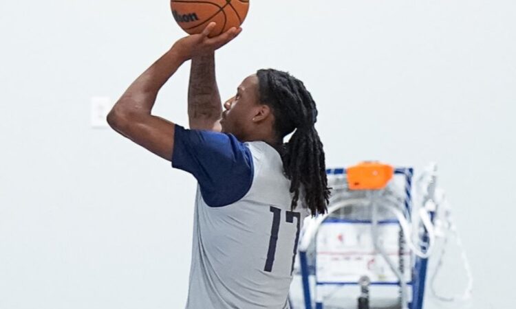 Melvin Ajinca, Dallas Mavericks, NBA